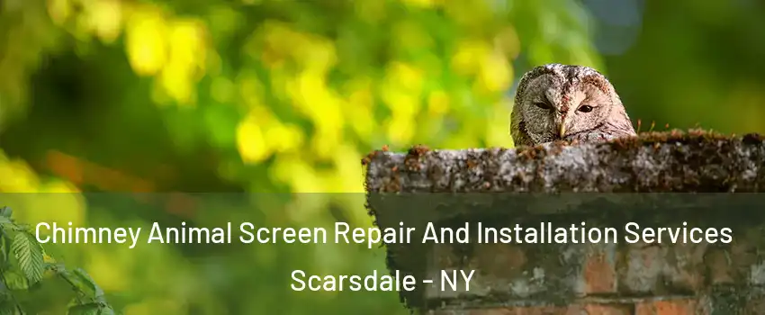  Chimney Animal Screen Repair And Installation Services Scarsdale - NY