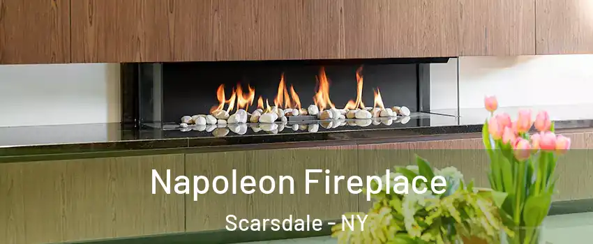  Napoleon Fireplace Scarsdale - NY